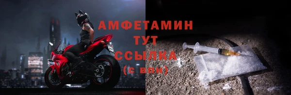 сатива Медногорск