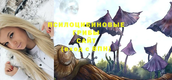 спиды Мегион
