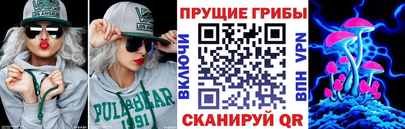 где купить наркотик  Белгород  Псилоцибиновые грибы Psilocybine cubensis 